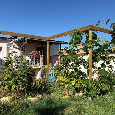 Ubytovani U Jerabku - Parkovani Zdarma Mikulov Dış mekan fotoğraf