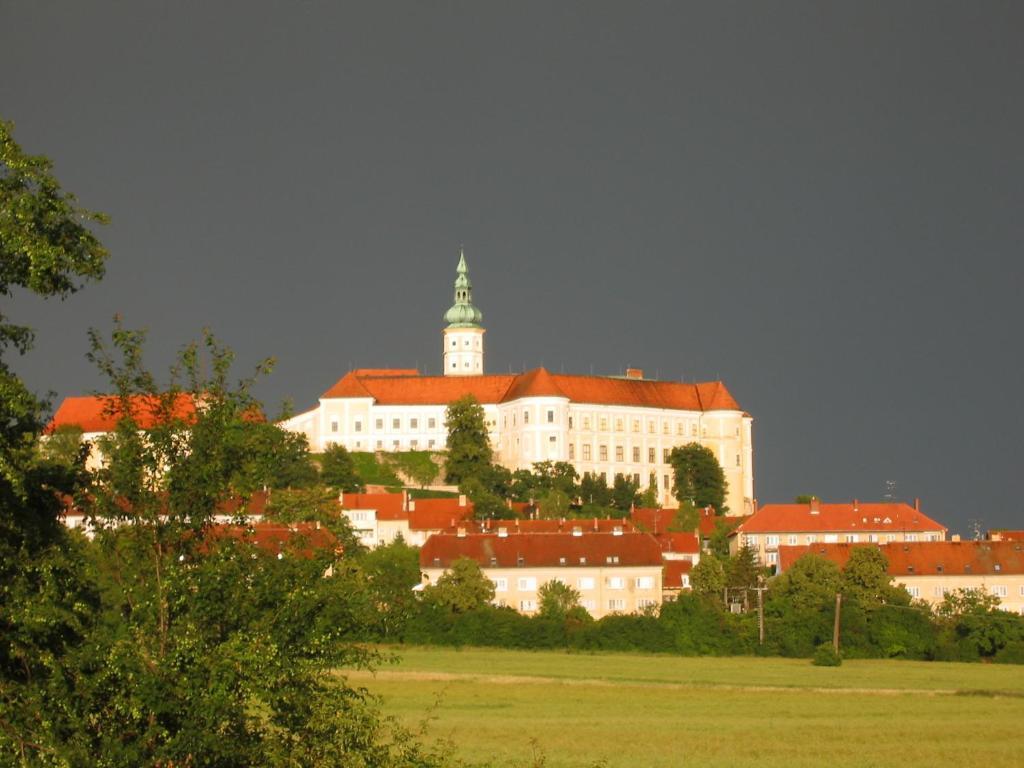 Ubytovani U Jerabku - Parkovani Zdarma Mikulov Oda fotoğraf